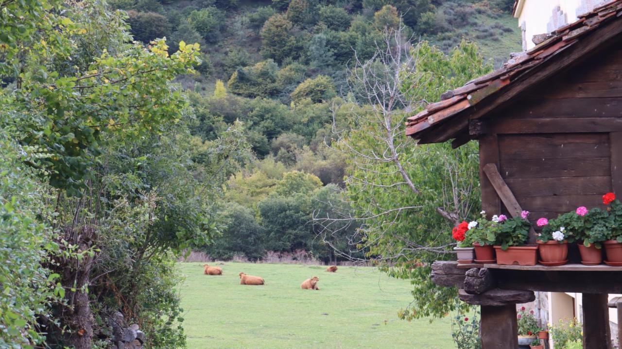 Casa Rural Cares Santa Maria de Valdeon 외부 사진